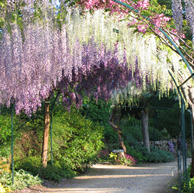 Parc Floral d'Apremont-sur-Allier