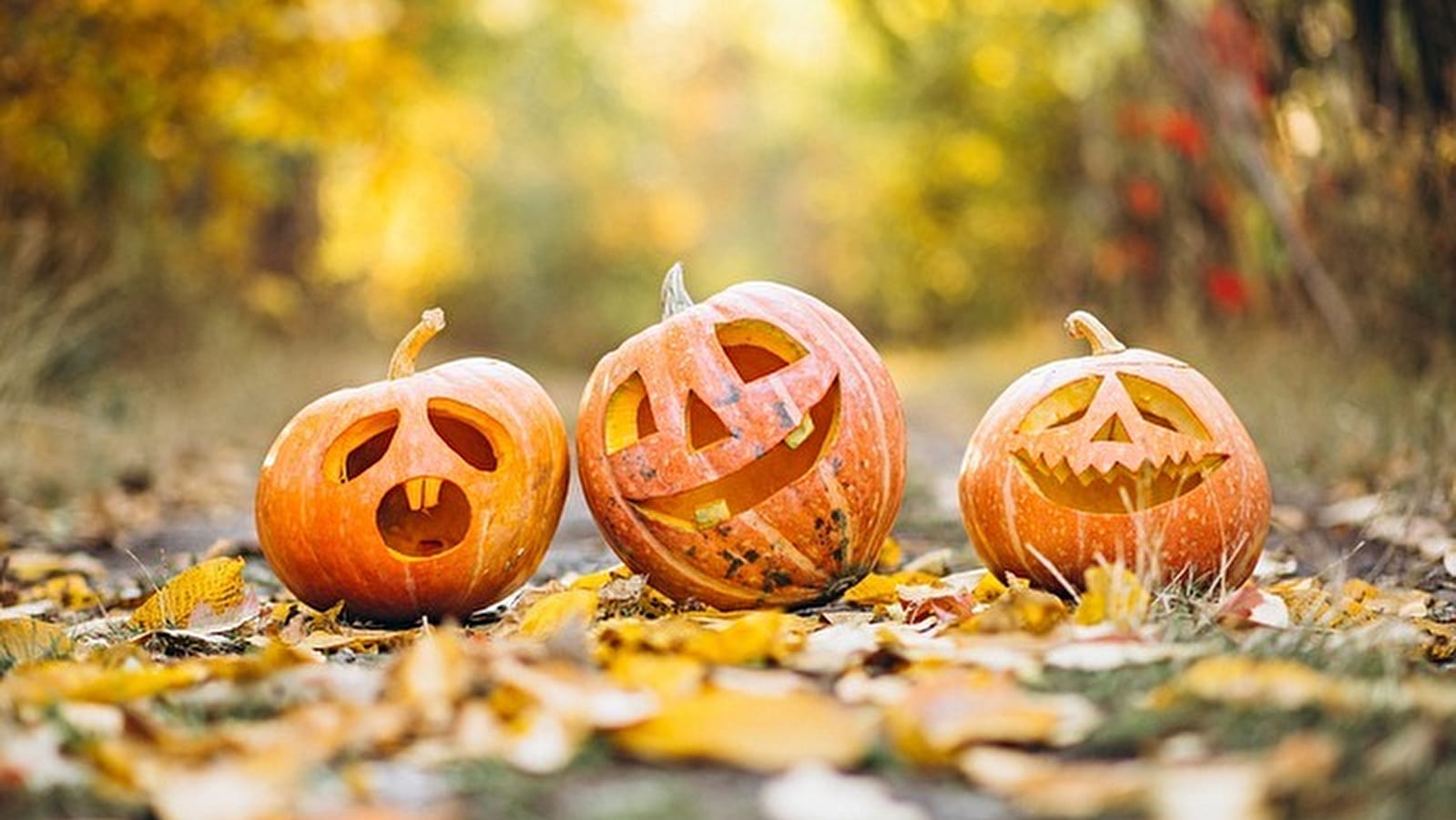 Journée spéciale Halloween  au Parc floral d'Apremont sur Allier