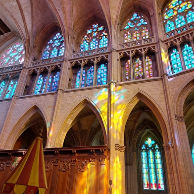 Visite guidée : La Cathédrale du VIème au XXIème siècle