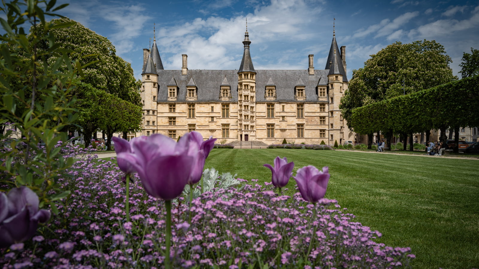 Visite guidée : Palais Ducal