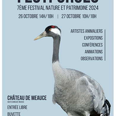 Festi'grues